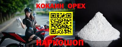 крисы Дубна