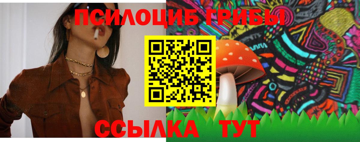 Псилоцибиновые грибы мицелий Майский